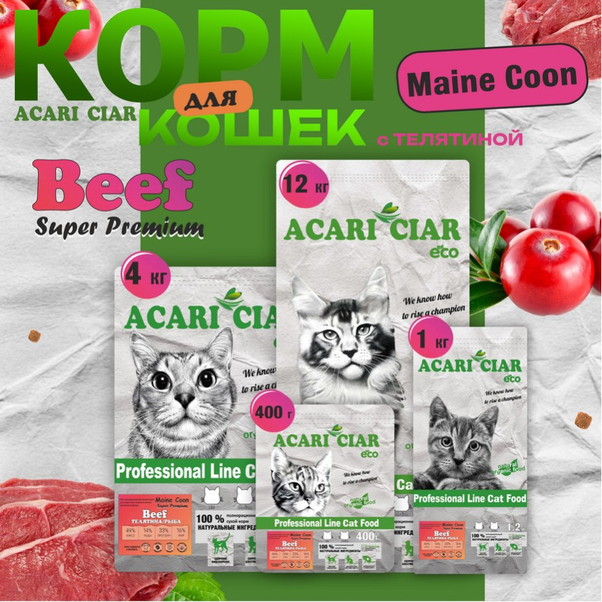 Maine Coon Beef Maine Coon Beef