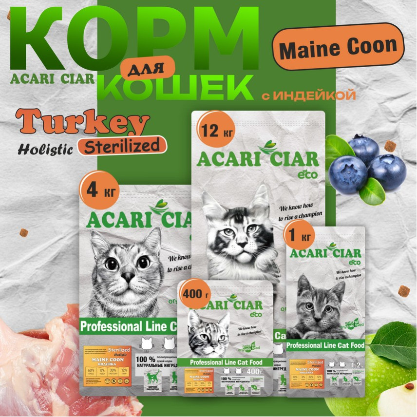 Maine Coon Sterilized Turkey Maine Coon Sterilized Turkey