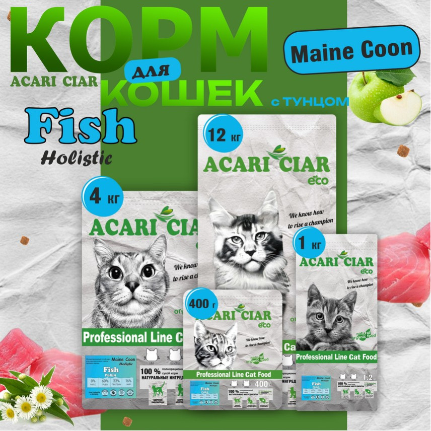 Maine Coon Fish Maine Coon Fish