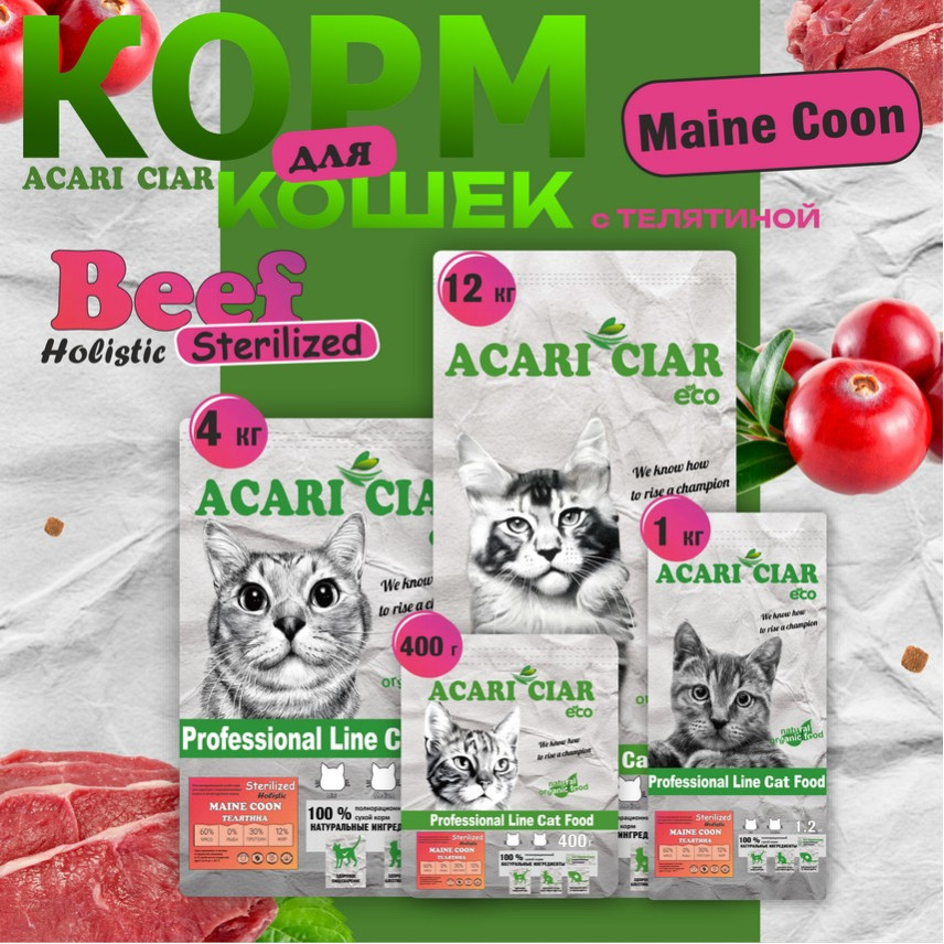 Maine Coon Sterilized Beef Maine Coon Sterilized Beef