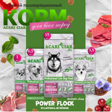 Power Flock Beef Lamb