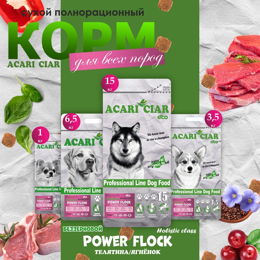 Power Flock Beef Lamb Power Flock Beef Lamb
