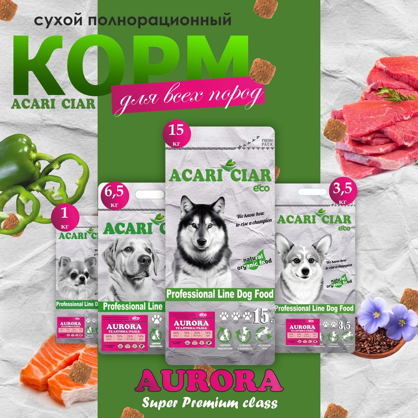 Aurora Aurora