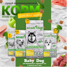 Baby dog starter
