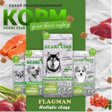 Flagman