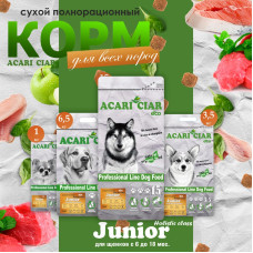Junior