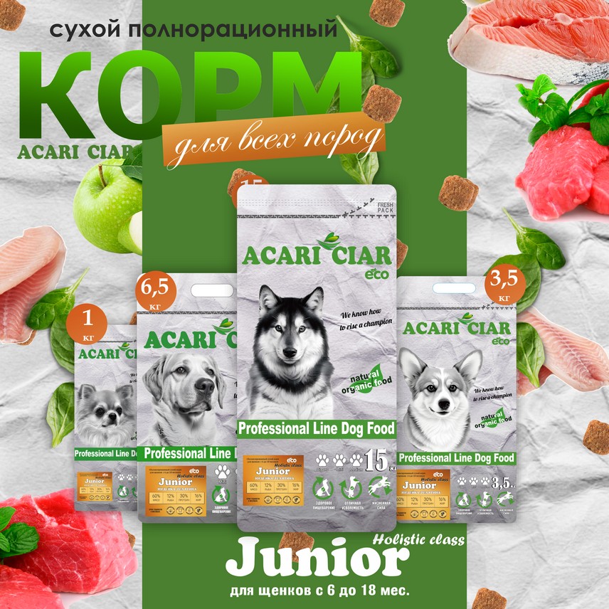 Junior