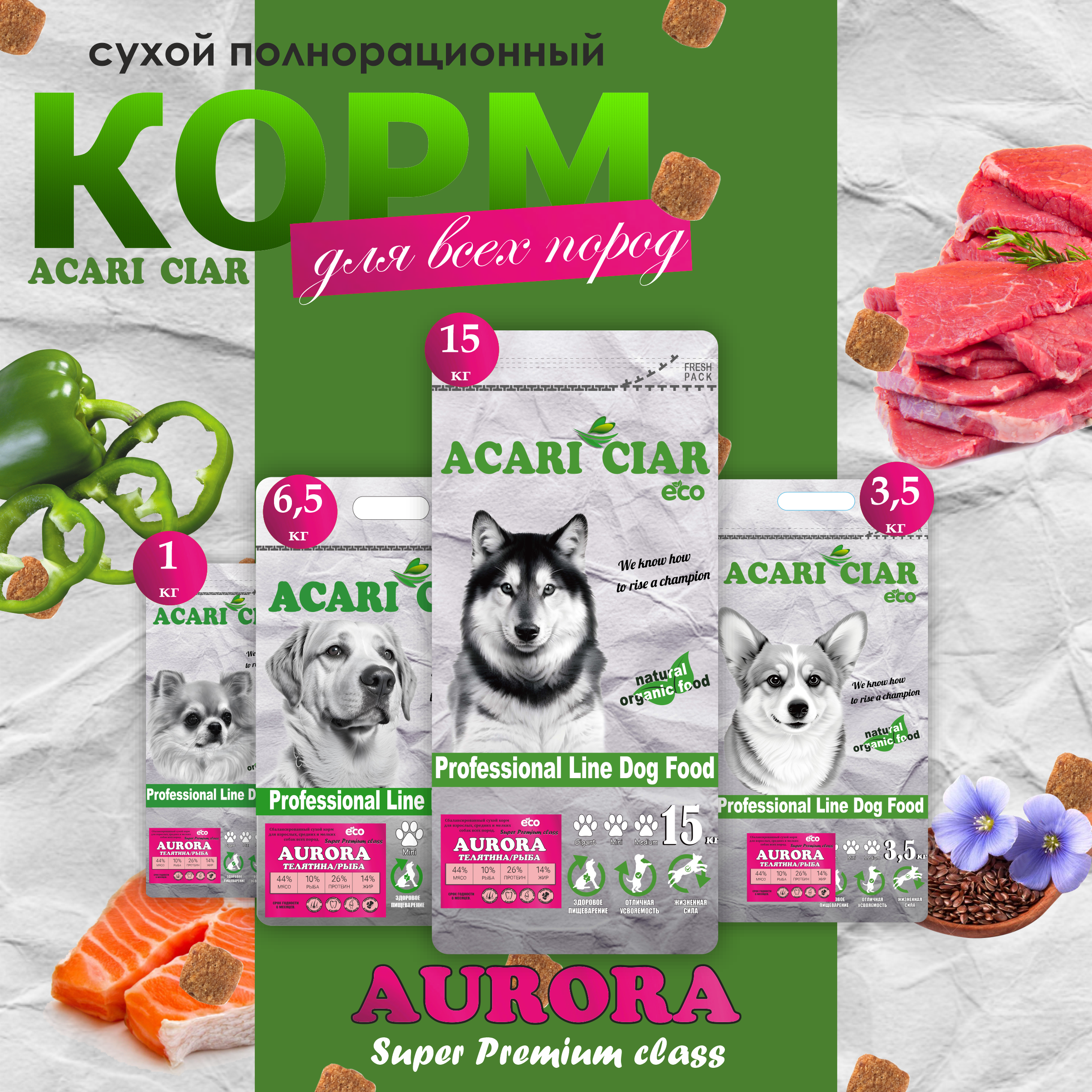 Aurora Aurora